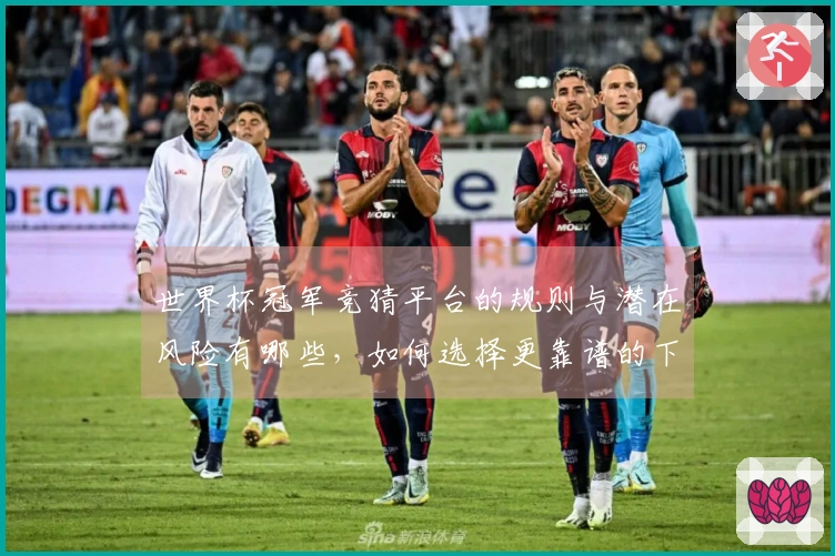 世界杯冠军竞猜平台的规则与潜在风险有哪些，如何选择更靠谱的下注方式？