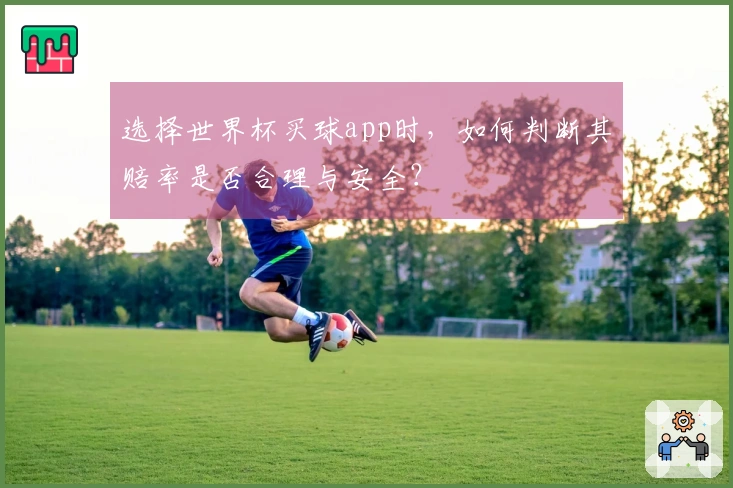 选择世界杯买球app时，如何判断其赔率是否合理与安全？