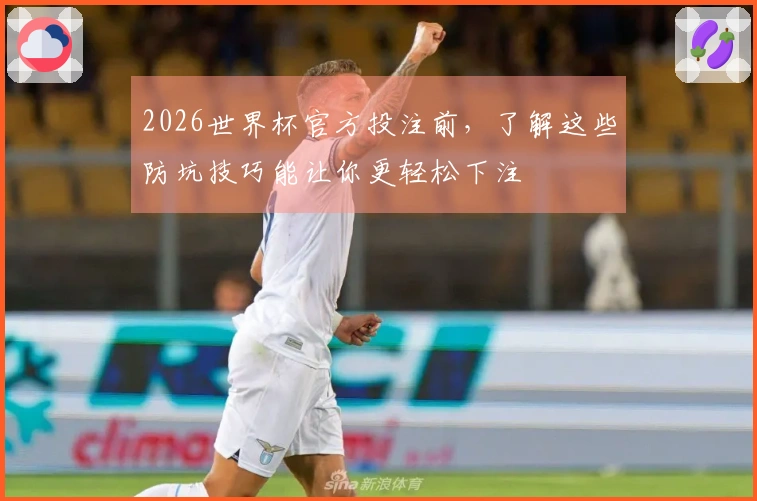 2026世界杯官方投注前，了解这些防坑技巧能让你更轻松下注