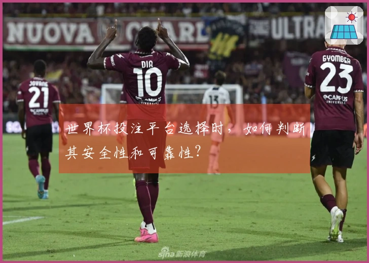 世界杯投注平台选择时，如何判断其安全性和可靠性？