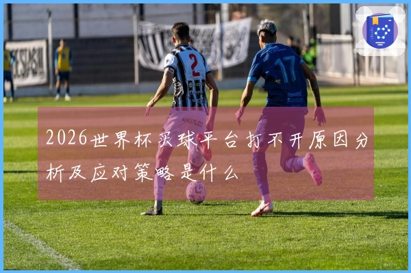 2026世界杯买球平台打不开原因分析及应对策略是什么