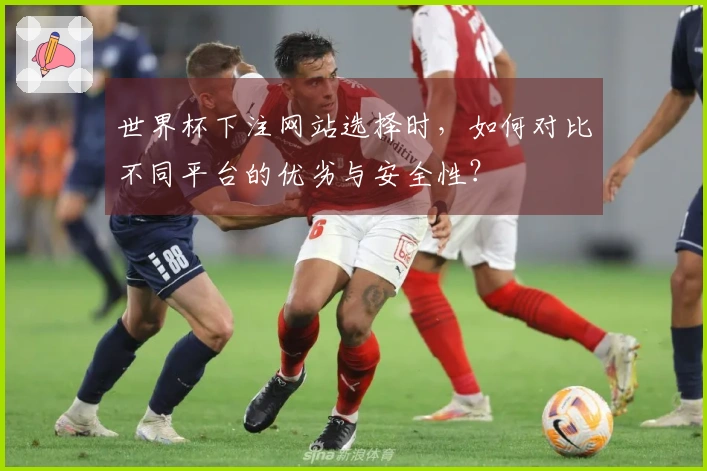世界杯下注网站选择时，如何对比不同平台的优劣与安全性？