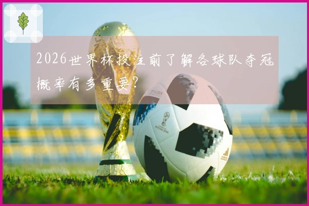 2026世界杯投注前了解各球队夺冠概率有多重要？