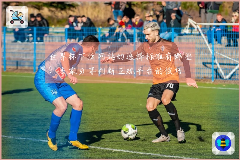 世界杯下注网站的选择标准有哪些？专家分享判断正规平台的技巧