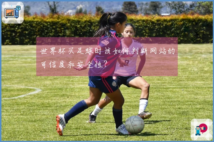 世界杯买足球时该如何判断网站的可信度和安全性？