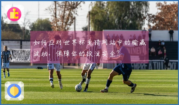 如何应对世界杯竞猜网站中的输赢波动，保障你的投注安全？