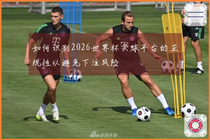 如何识别2026世界杯买球平台的正规性以避免下注风险