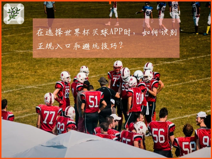 在选择世界杯买球APP时，如何识别正规入口和避坑技巧？