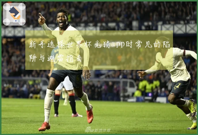 新手选择世界杯竞猜app时常见的陷阱与避雷指南