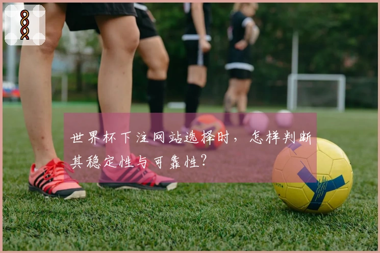 世界杯下注网站选择时，怎样判断其稳定性与可靠性？