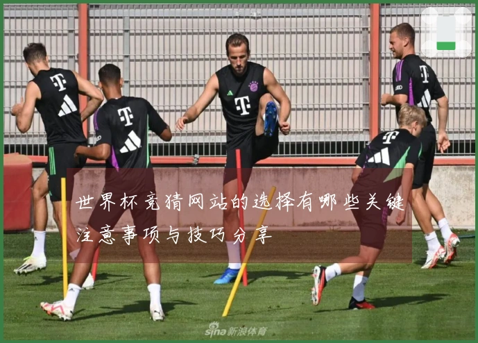 世界杯竞猜网站的选择有哪些关键注意事项与技巧分享