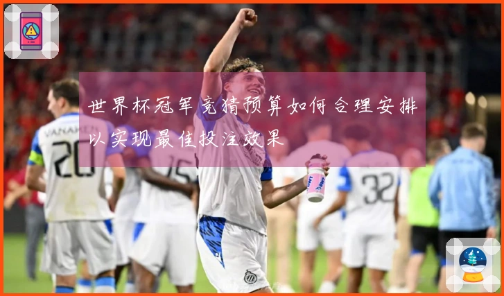 世界杯冠军竞猜预算如何合理安排以实现最佳投注效果