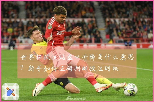 世界杯投注站盘口升降是什么意思？新手如何正确判断投注时机