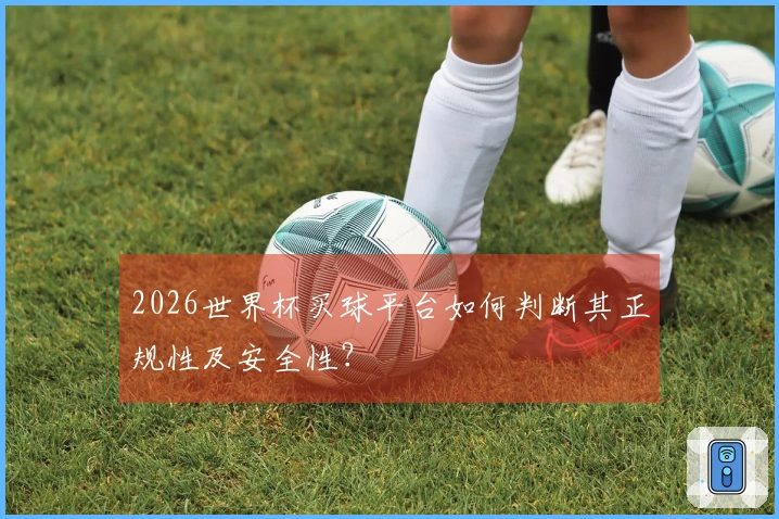 2026世界杯买球平台如何判断其正规性及安全性？
