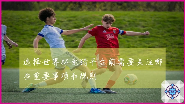 选择世界杯竞猜平台前需要关注哪些重要事项和规则