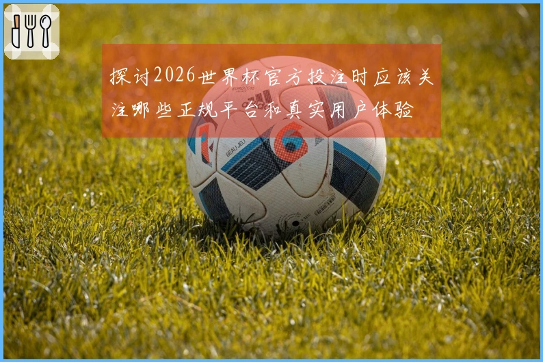 探讨2026世界杯官方投注时应该关注哪些正规平台和真实用户体验