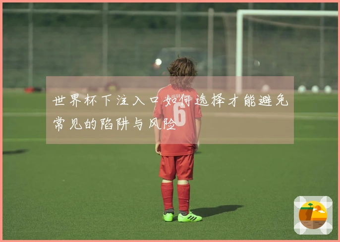世界杯下注入口如何选择才能避免常见的陷阱与风险