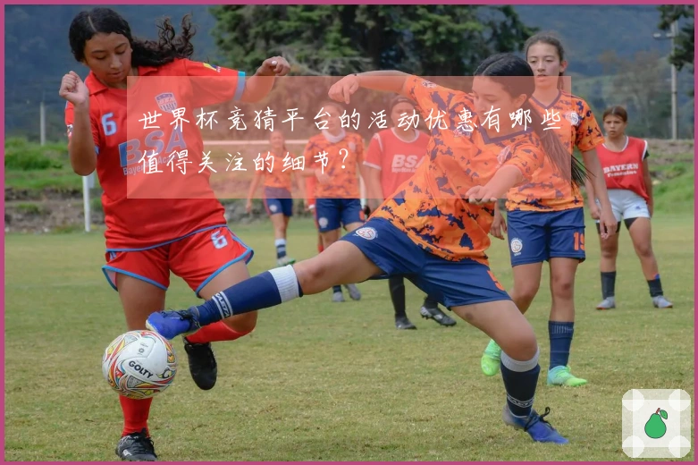 世界杯竞猜平台的活动优惠有哪些值得关注的细节？