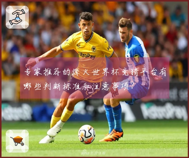 专家推荐的烽火世界杯竞猜平台有哪些判断标准和注意事项？