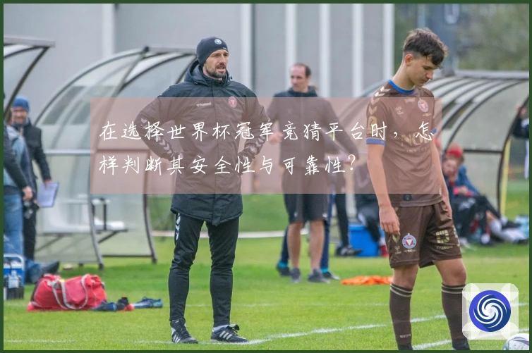 在选择世界杯冠军竞猜平台时，怎样判断其安全性与可靠性？