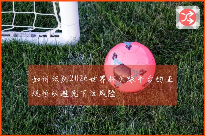 如何识别2026世界杯买球平台的正规性以避免下注风险
