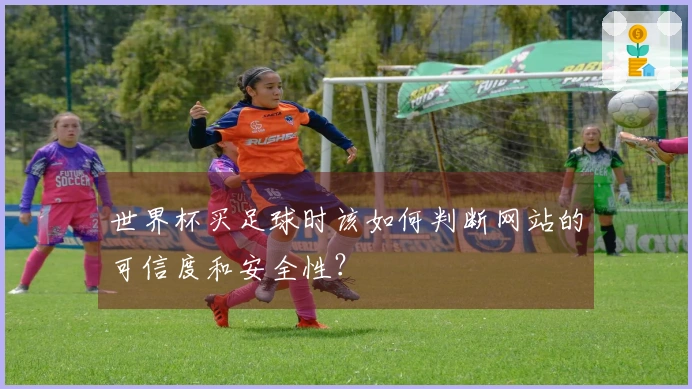世界杯买足球时该如何判断网站的可信度和安全性？