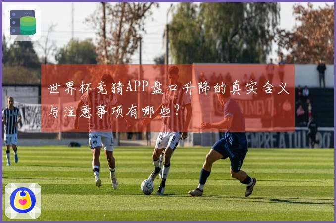 世界杯竞猜APP盘口升降的真实含义与注意事项有哪些？
