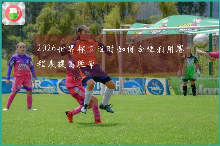 2026世界杯下注时如何合理利用赛程表提高胜率
