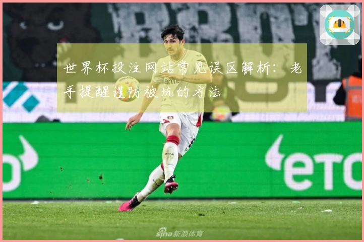 世界杯投注网站常见误区解析：老手提醒谨防被坑的方法