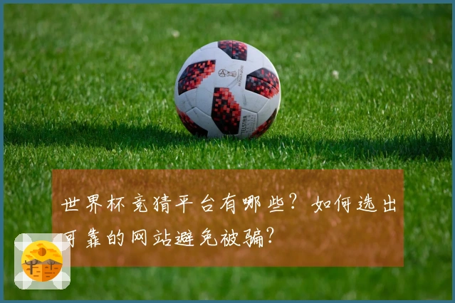 世界杯竞猜平台有哪些？如何选出可靠的网站避免被骗？