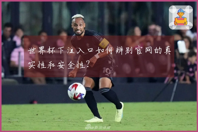 世界杯下注入口如何辨别官网的真实性和安全性？