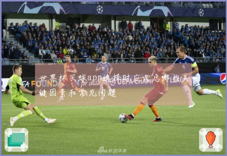 世界杯买球app选择时应考虑哪些关键因素和常见问题
