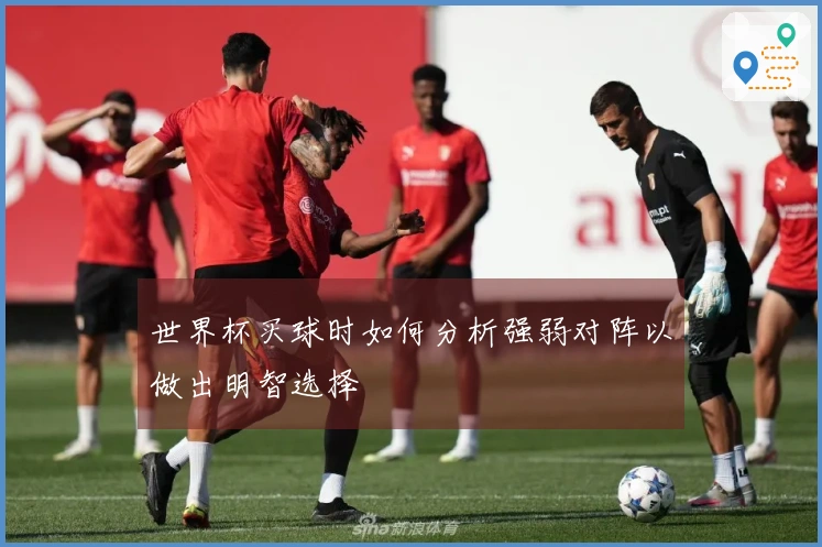世界杯买球时如何分析强弱对阵以做出明智选择