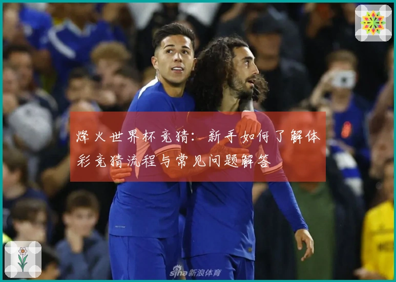 烽火世界杯竞猜：新手如何了解体彩竞猜流程与常见问题解答