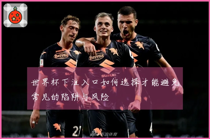 世界杯下注入口如何选择才能避免常见的陷阱与风险