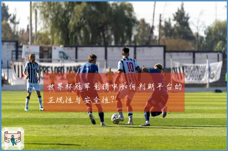世界杯冠军竞猜中如何判断平台的正规性与安全性？