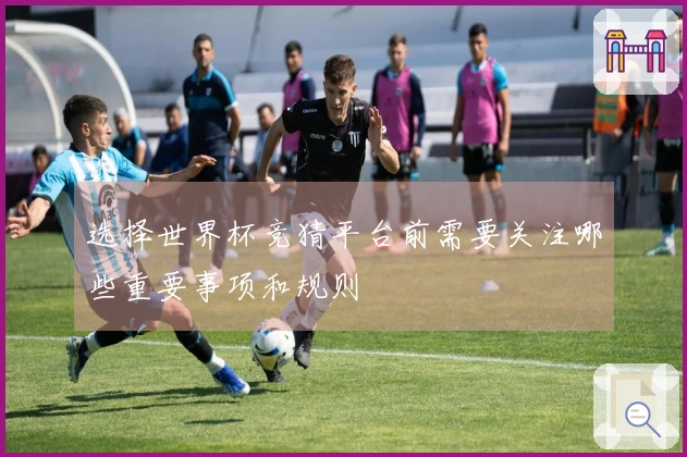 选择世界杯竞猜平台前需要关注哪些重要事项和规则