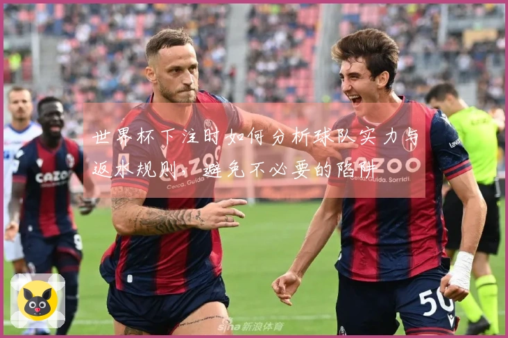世界杯下注时如何分析球队实力与返水规则，避免不必要的陷阱