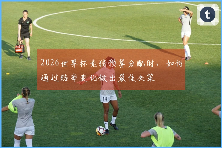 2026世界杯竞猜预算分配时，如何通过赔率变化做出最佳决策
